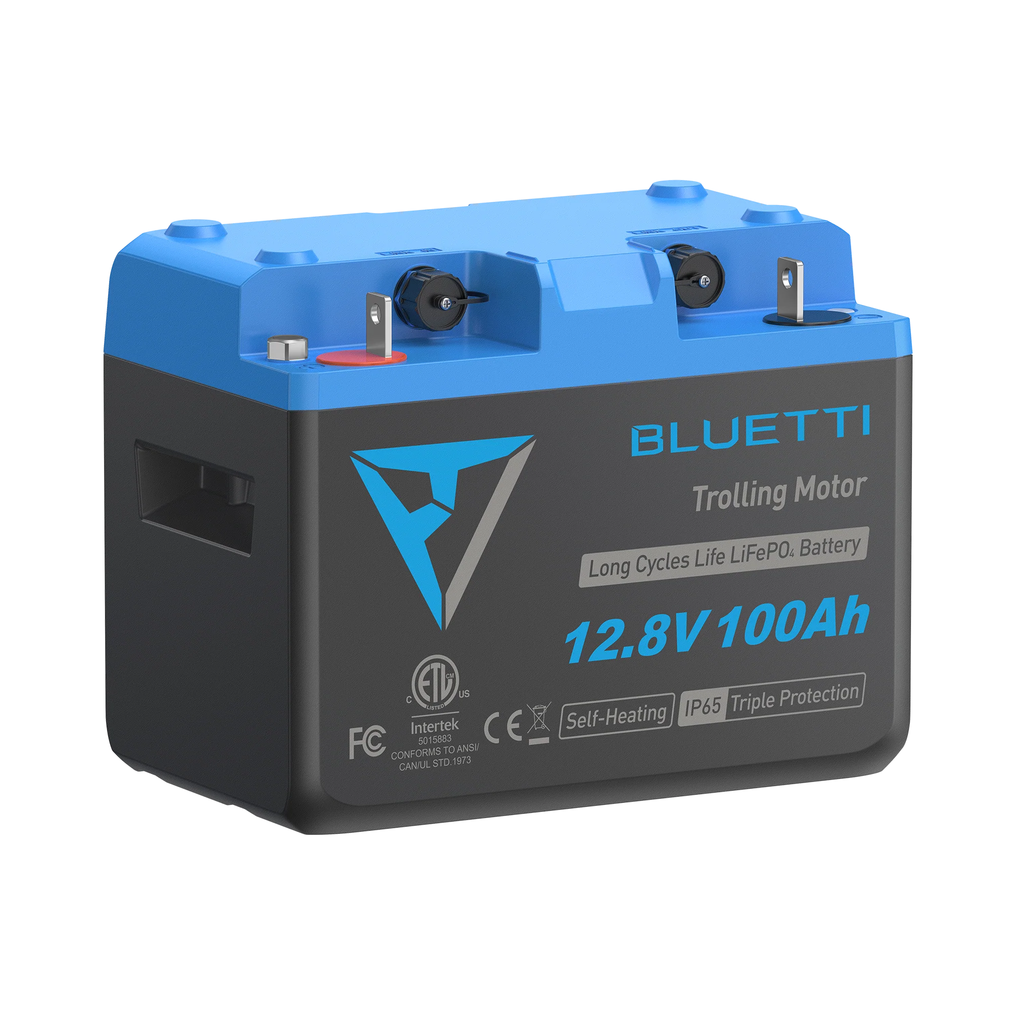 B1210 Batteria LiFePO₄ per motore da traina | 12,8 V, 100 Ah - Image 3
