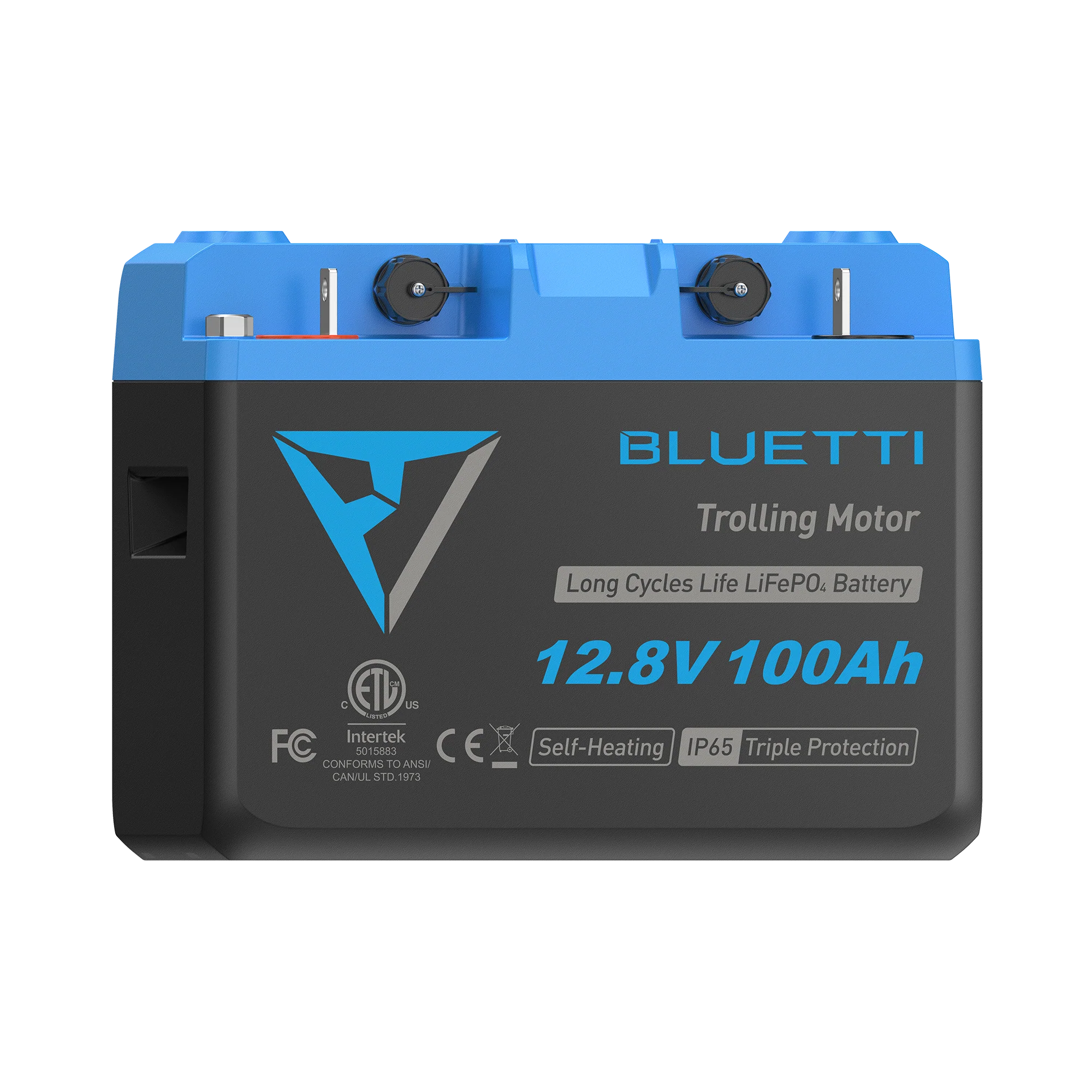 B1210 Batteria LiFePO₄ per motore da traina | 12,8 V, 100 Ah - Image 5
