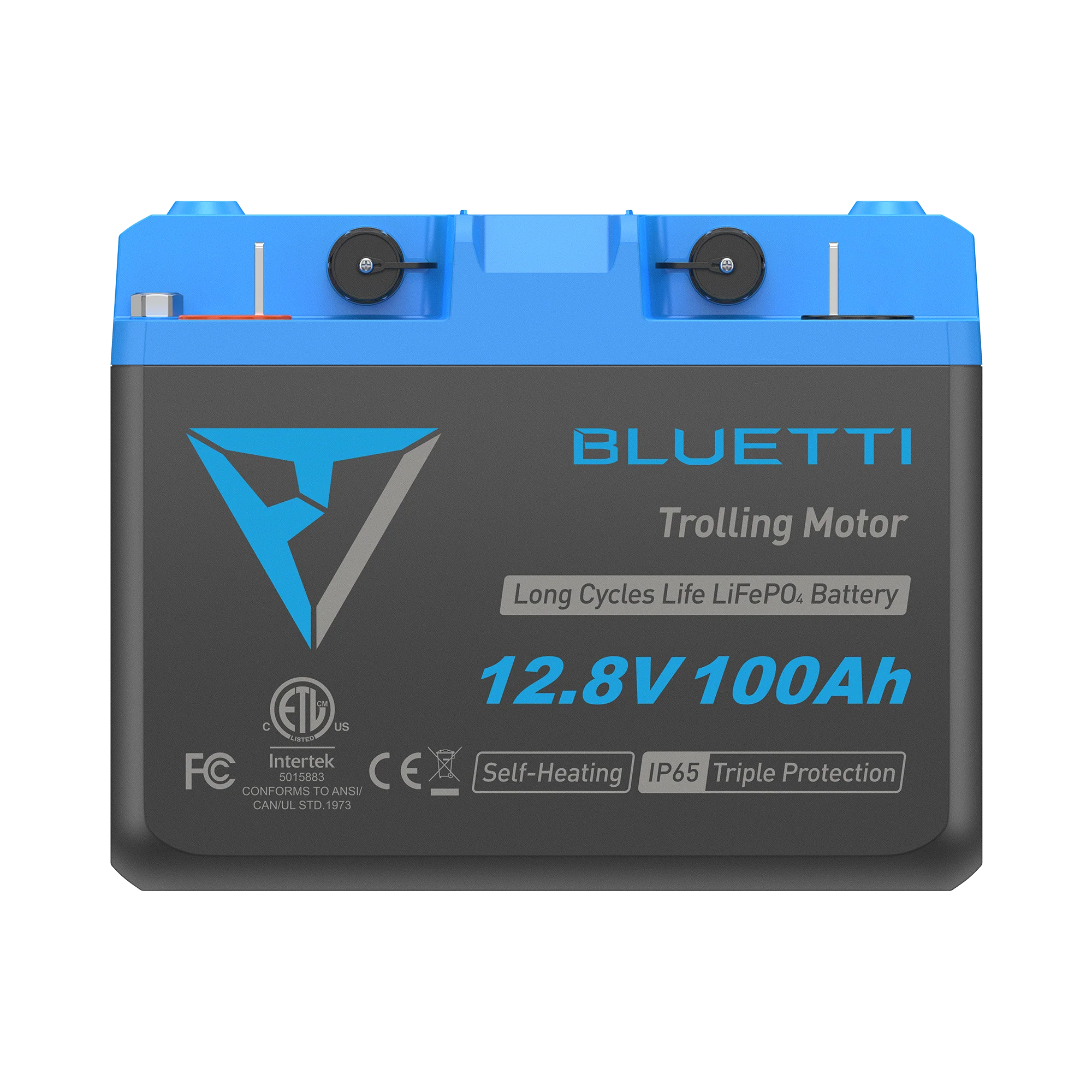 B1210 Batteria LiFePO₄ per motore da traina | 12,8 V, 100 Ah - Image 6