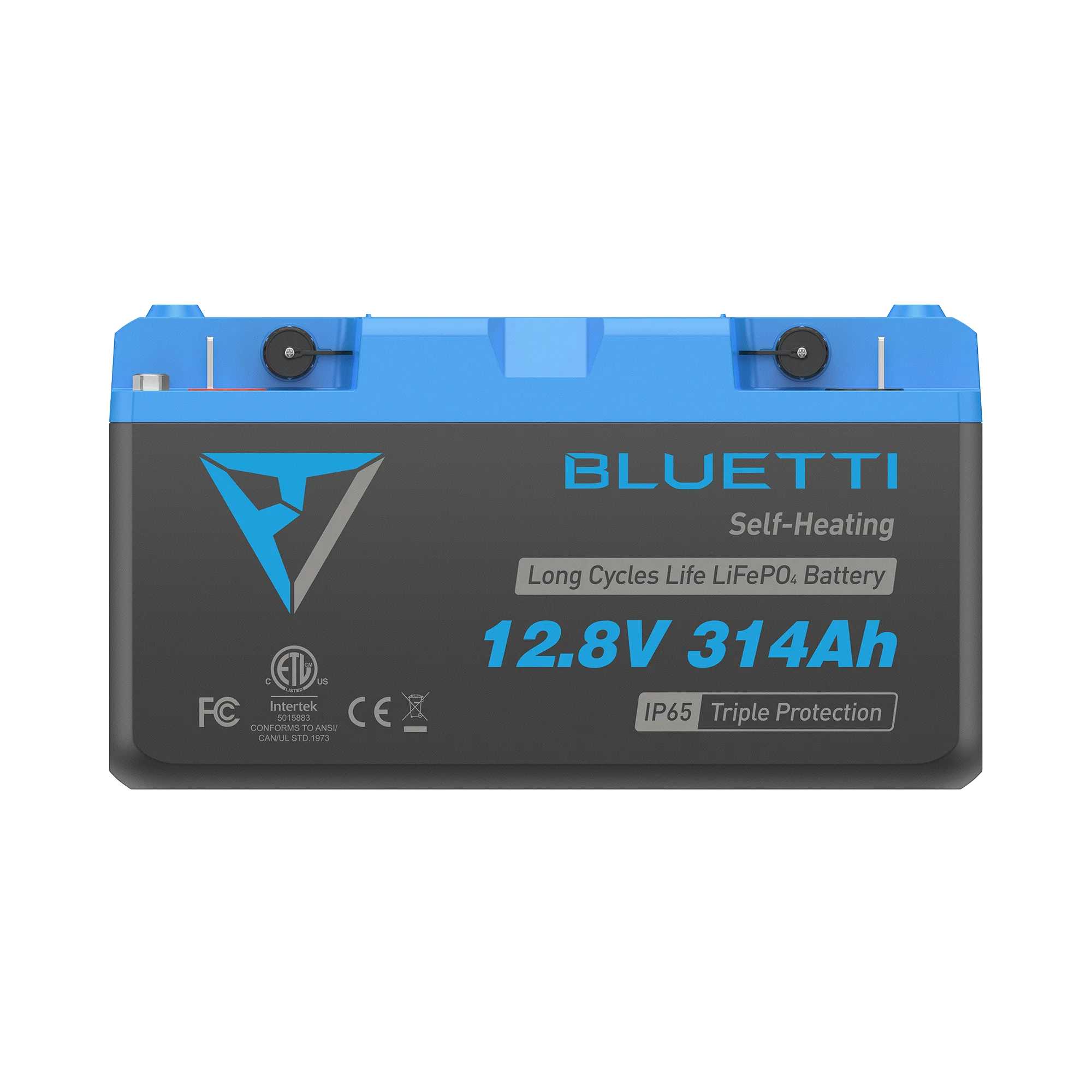 B1232 Batteria LiFePO₄ | 12,8 V, 314 Ah - Image 4