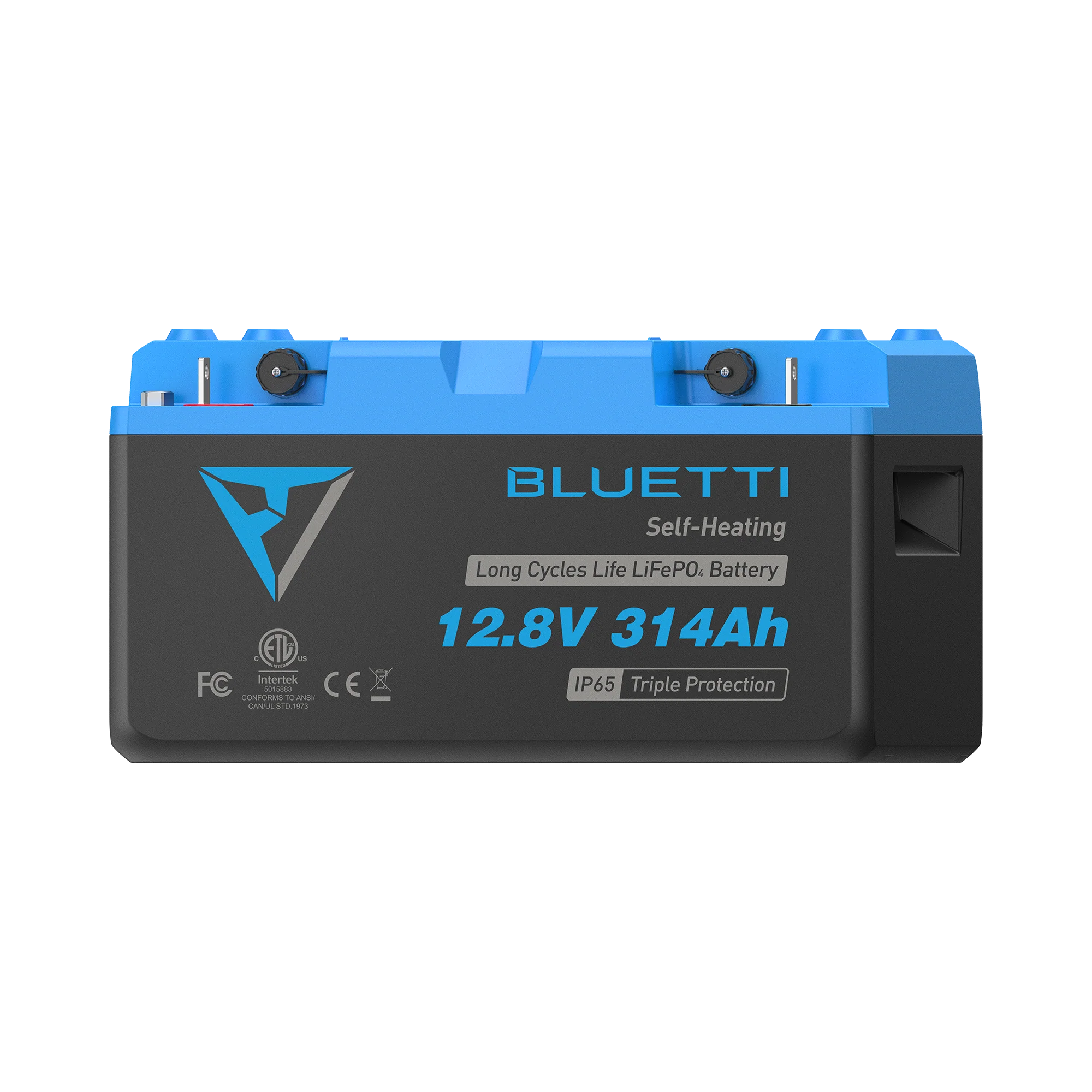 B1232 Batteria LiFePO₄ | 12,8 V, 314 Ah - Image 6